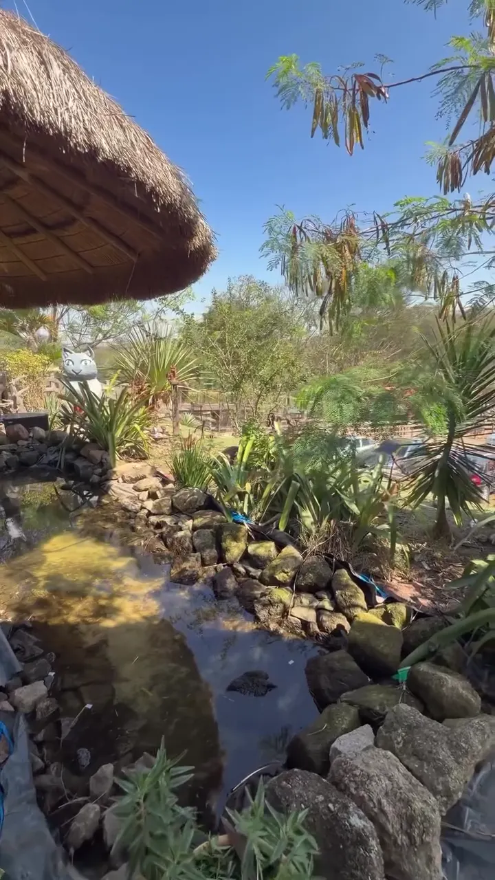 Jardim com plantas e cascata de pedras